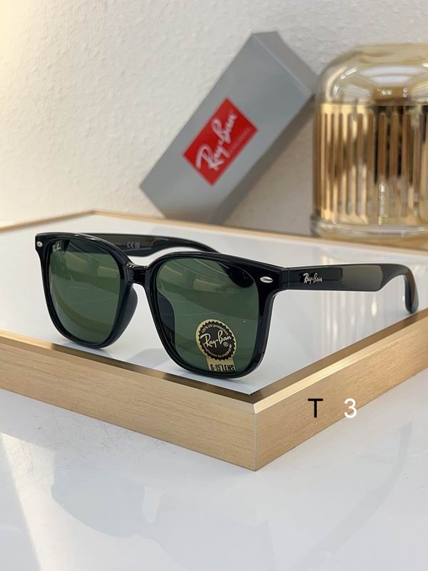 RayBan Sunglasses ID:20240804-381